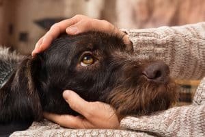 tips to overcome depression, 10 tips to overcome depression