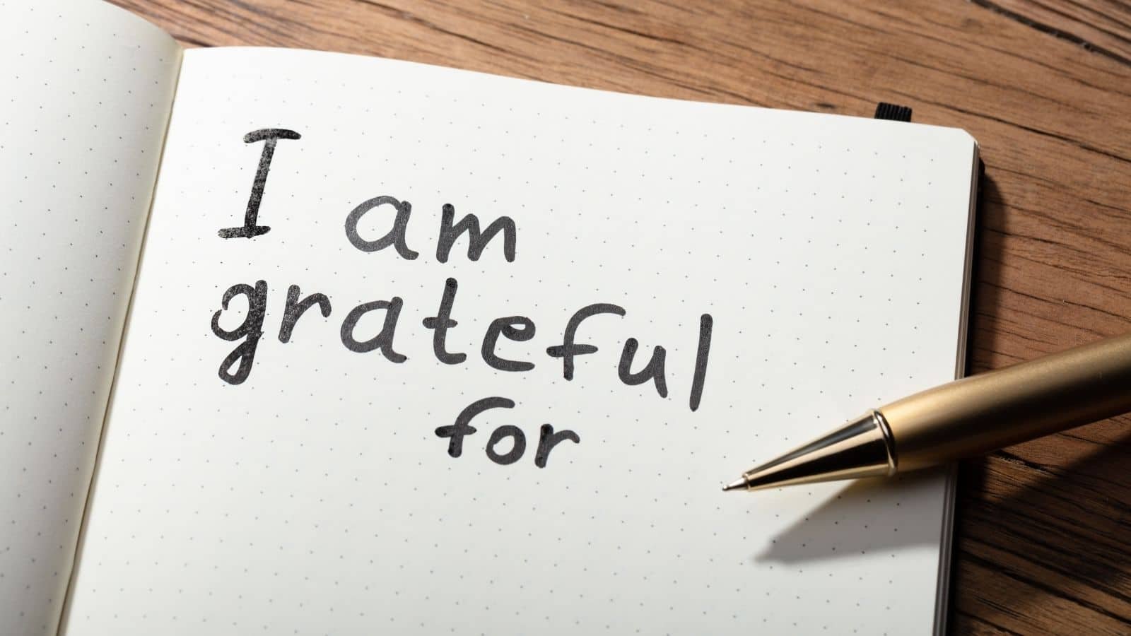 gratitude can transform your life