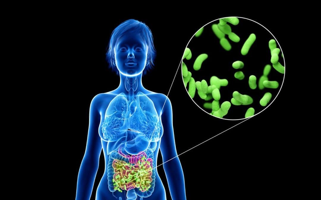 How does gut health affect depression?