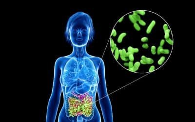 How does gut health affect depression?