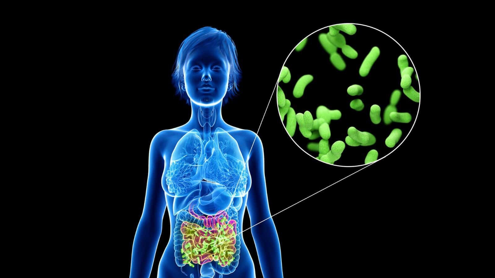 gut health and depression