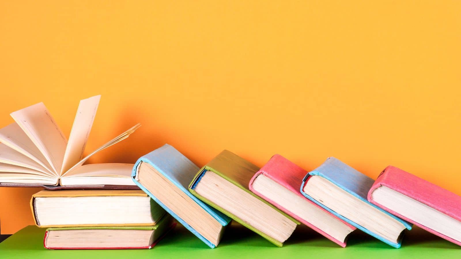 books by Linda Bjork free ebooks books on depression books on marriage