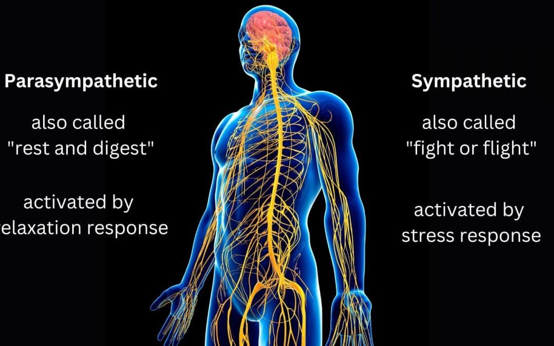 Why You Need to Regulate Your Nervous System