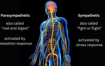 Why You Need to Regulate Your Nervous System