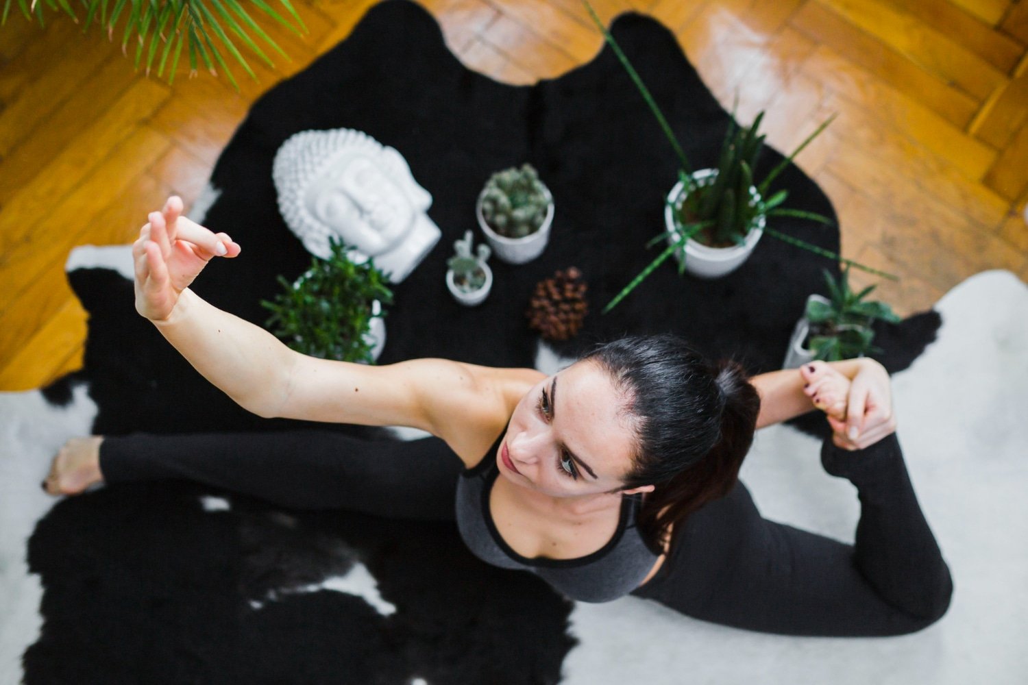 emotional healing resources, Home
